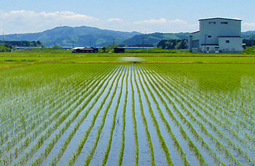 秋田市雄和芝野田園風景の写真