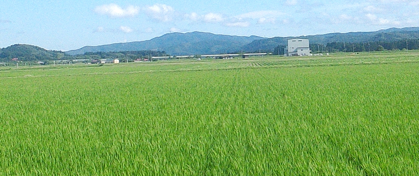 秋田市雄和芝野の田園風景の写真