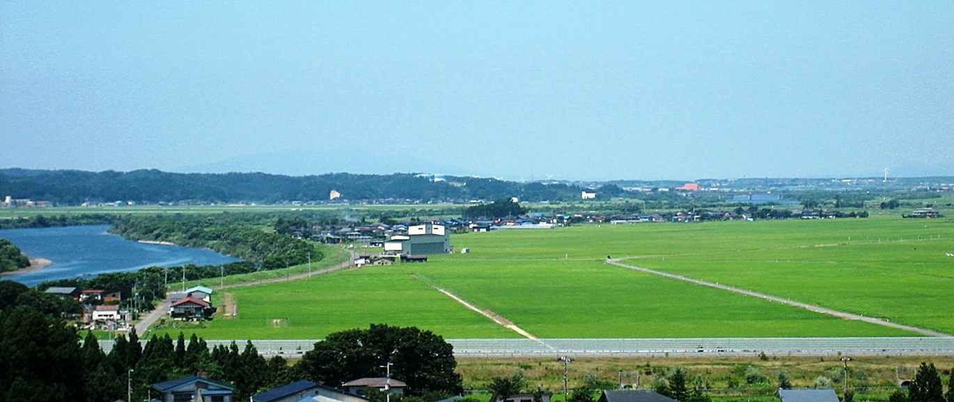 秋田市雄和長者山からみた芝野の田園風景の写真